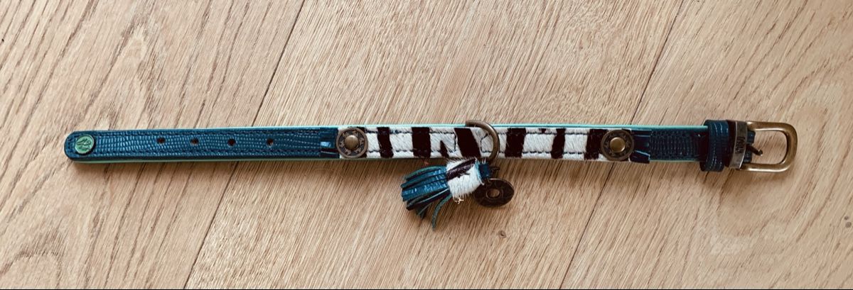 Guinzagli & Collari: Hundehalsband Echtleder – Nuovo (secondo la descrizione) da Hettlingen venduto da Timba02