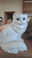 chat Goebel