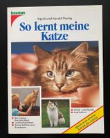 So lernt meine Katze 🐈‍⬛