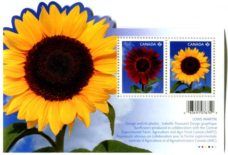 Tutti i francobolli: Block "Sonnenblume". Kanada – Nuovo e nell'imballaggio originale da Basel venduto da Butsch5