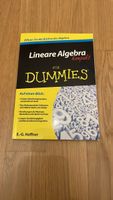 Lineare Algebra für Dummies, Kompakt - Top Zustand!