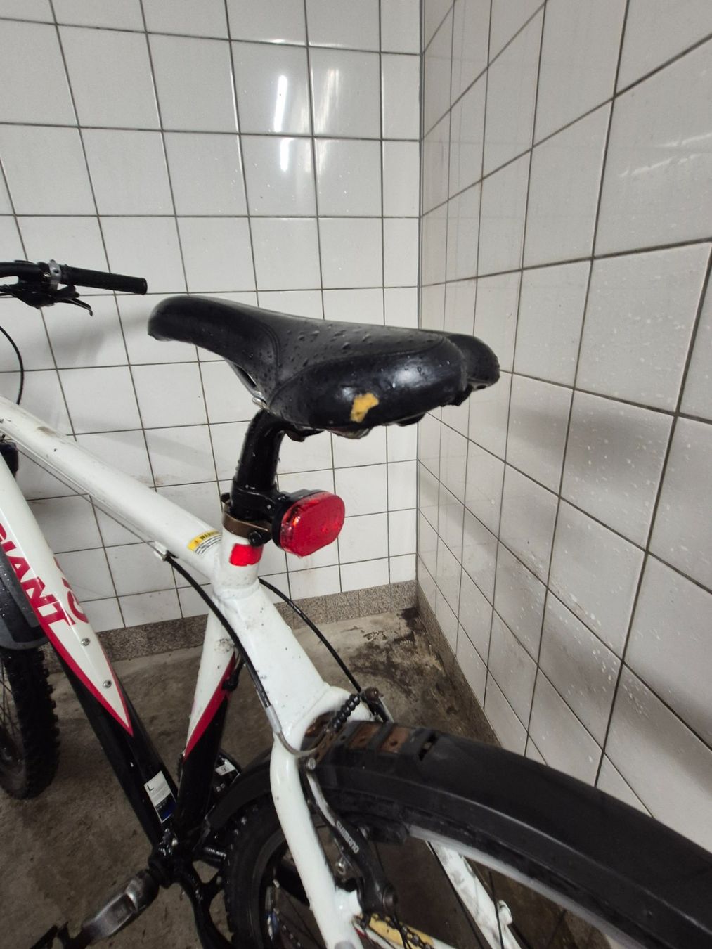 Giant Biciclette: Giant Terrago 26 Zoll MTB – Usato da Steffisburg venduto da fridii 5