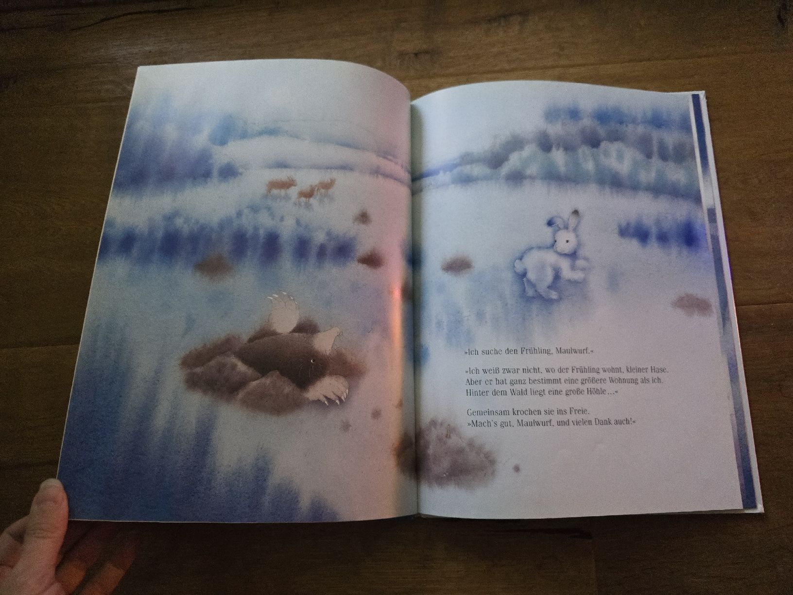 Bücher: Hoppel findet einen Freund: Kinderbuch von Marcus Pfister – Gebraucht aus Wittenbach von Tigerlili 5