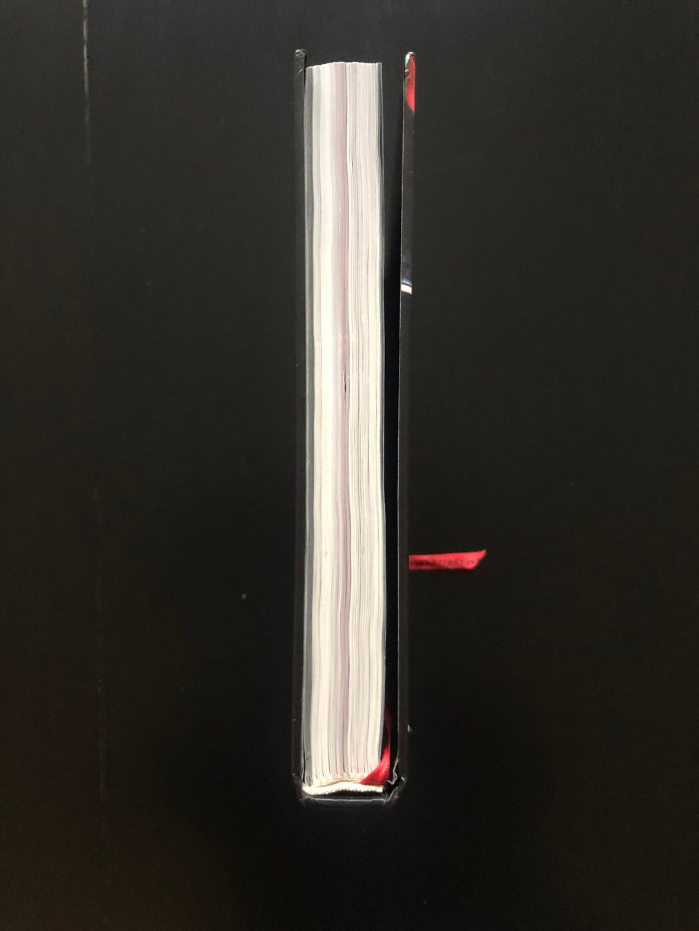 Libri: Bayonetta Limited Special Collectors Edition Guide – Usato da Bern venduto da sti_6prs 4