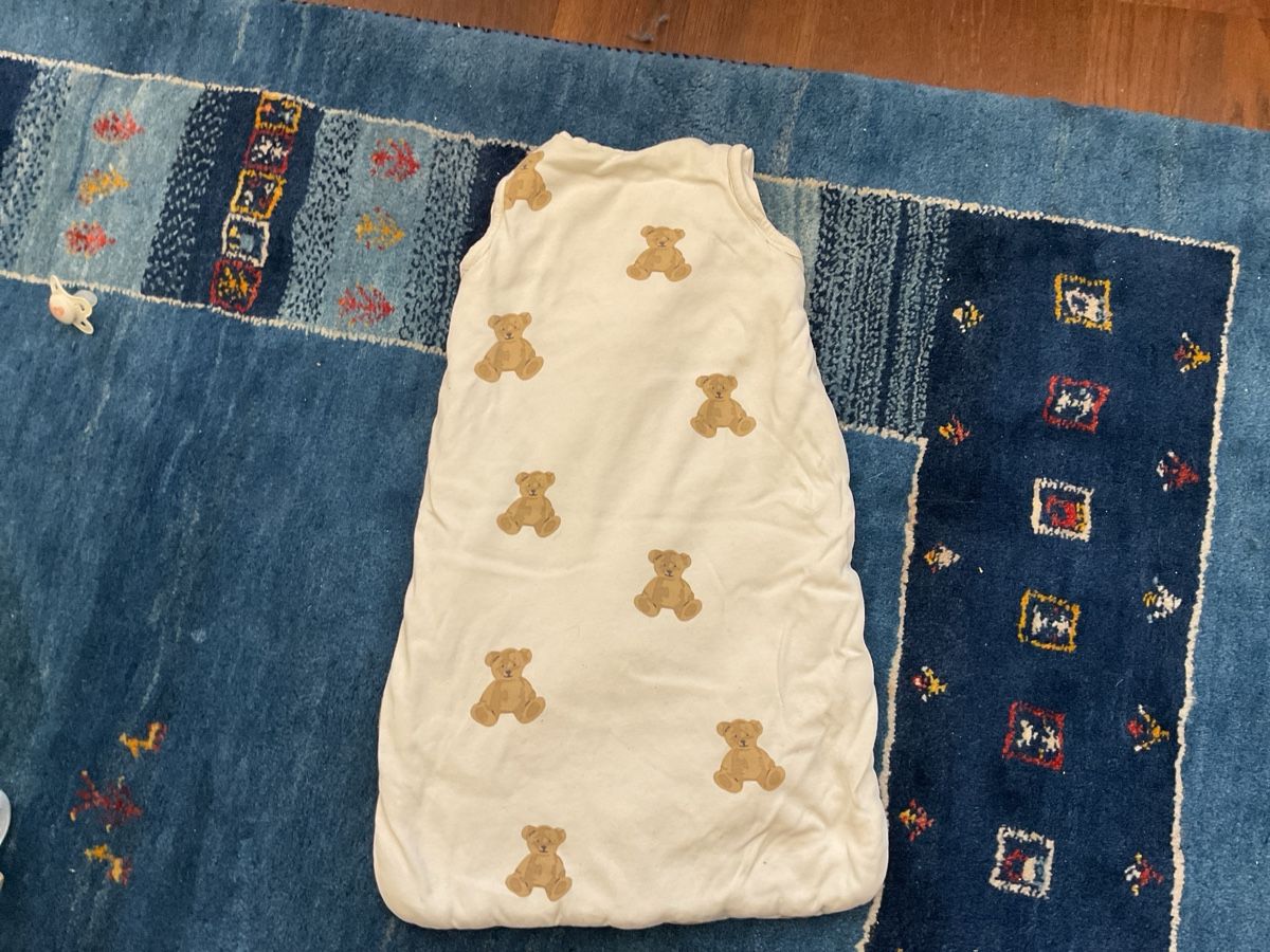 Sacchi a pelo: Schlafsack mit Teddybär-Muster Grösse:70cm 2-3 Monate  – Nuovo (secondo la descrizione) da Zürich venduto da Weber020 3