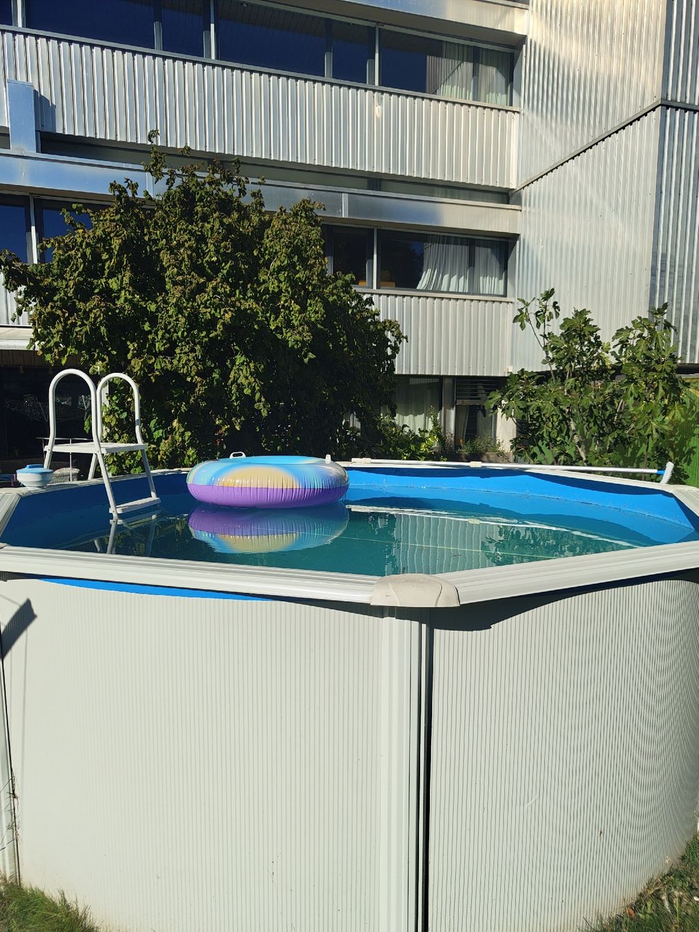 Piscine: Pool Gre Dream Pool 120 Bora Bora rund gebrauch – Usato da Zollikofen venduto da aar_lh7v 2