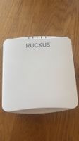 Ruckus R550