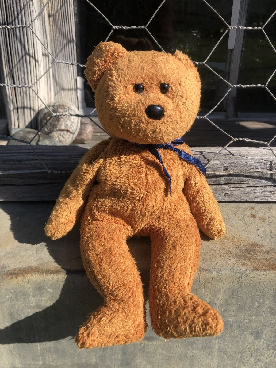 Giocattoli: Fuzy Teddybär – Usato da Volken venduto da SavitaIndia