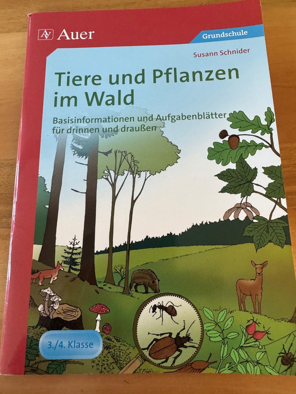 Libri: Tiere und Pflanzen im Wald – Usato da Oberuzwil venduto da gab_fd8j