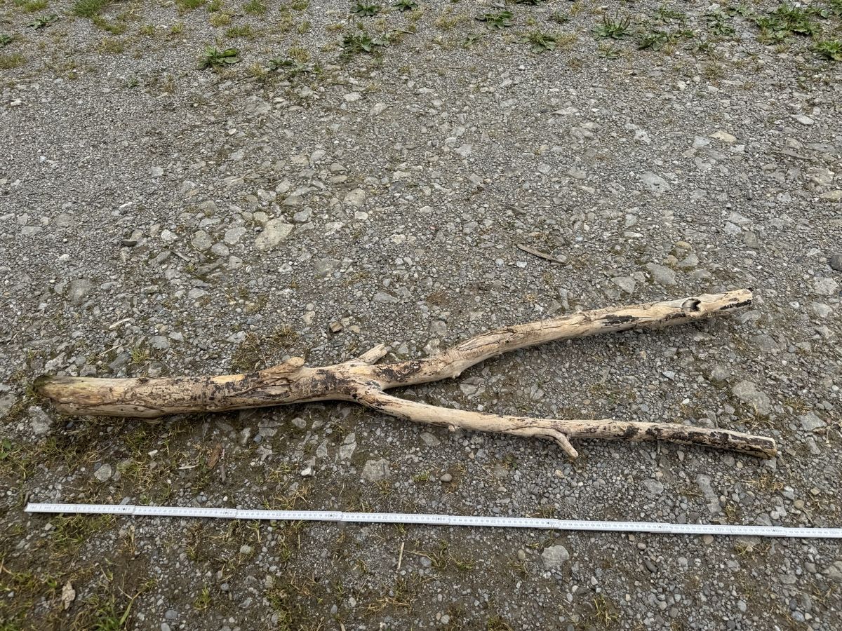 Articoli in legno: Schwemmholz – Usato da Schwellbrunn venduto da Magdalena888