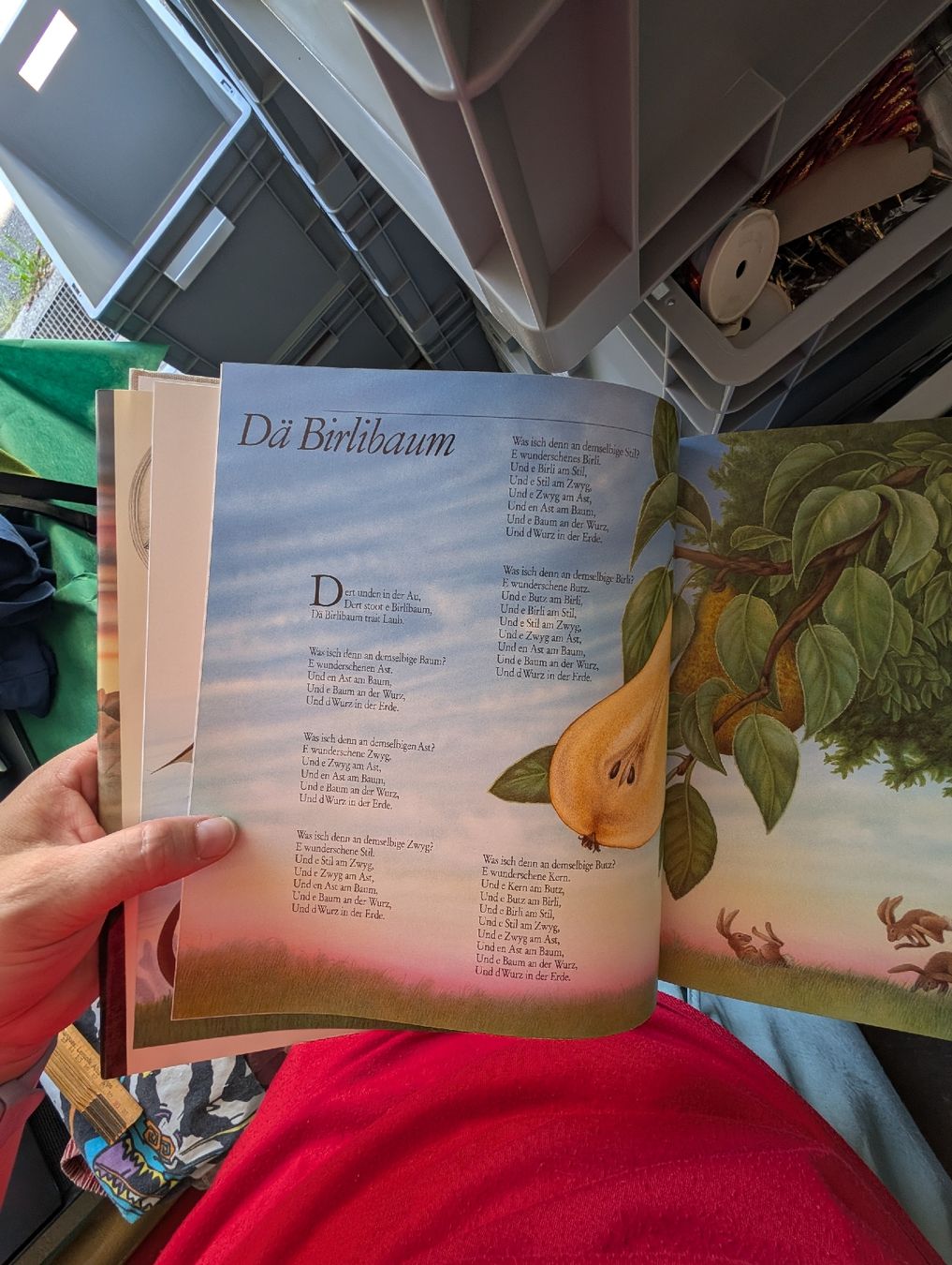 Libri: Die schönsten Märchen der Schweiz Buch  – Usato da Bern venduto da berneroberlaenderin 4
