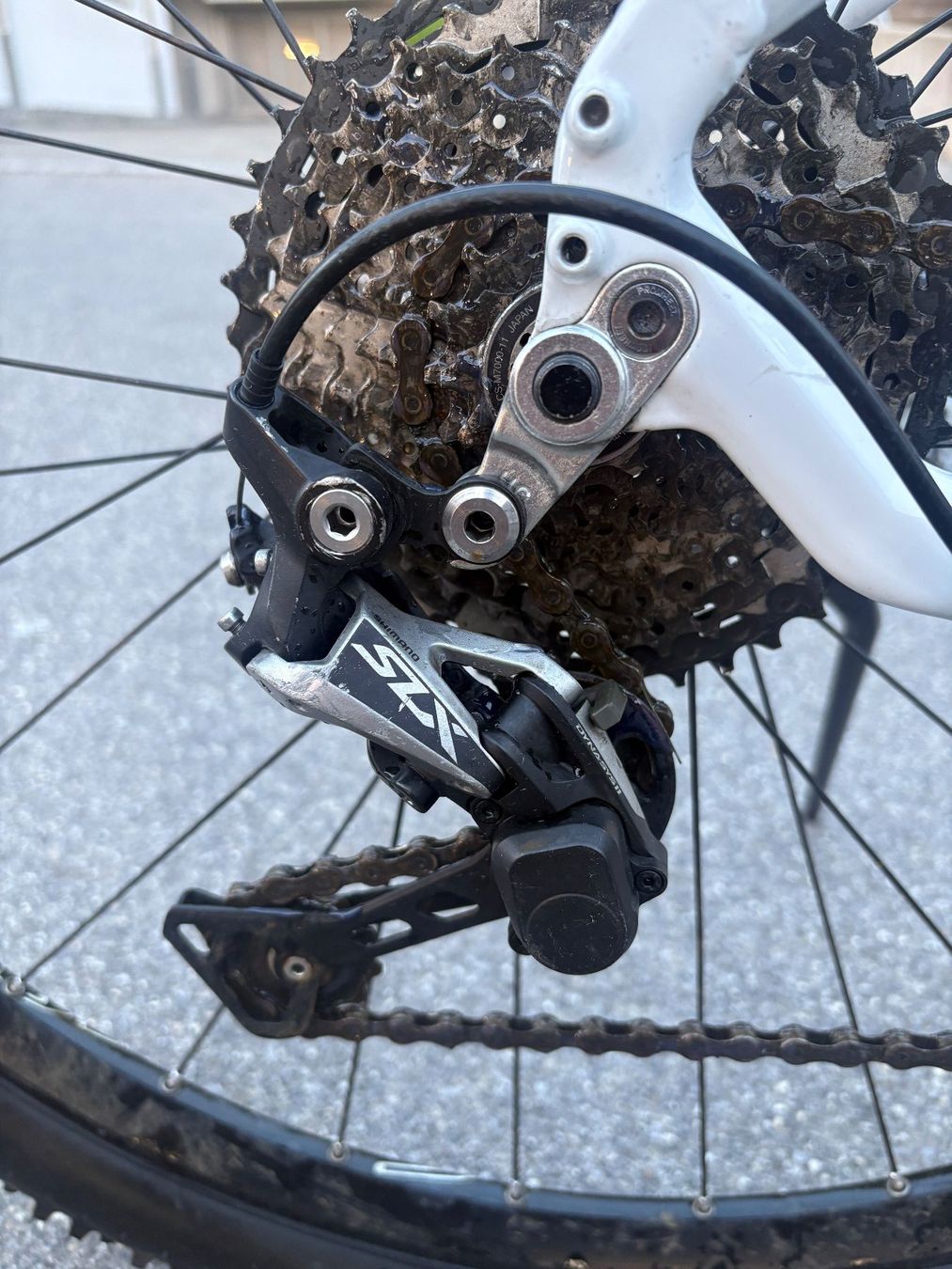 Thömus Biciclette: Thömus Tomcat Alu Grösse M – Usato da Heimberg venduto da cylemo 6