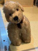 kleiner stoffhund (steiff? teddy?)