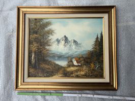 Tableau encadré vintage - Paysage de montagne enneigée