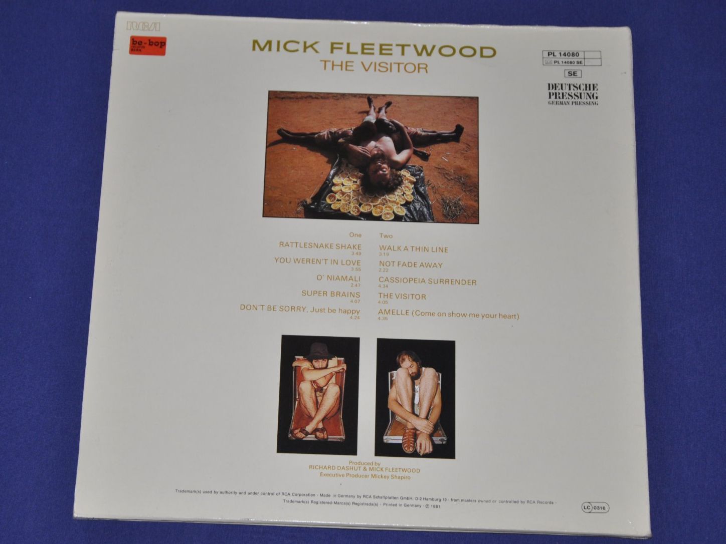 Dischi in vinile: LP Mick Fleetwood - The Visitor – Usato da Boll venduto da Theodora15 1