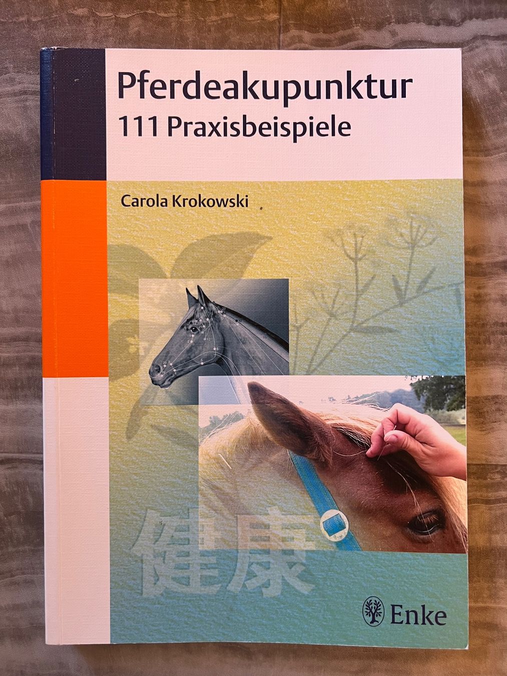 Libri: Pferdeakupunktur 111 Praxisbeispiele – Nuovo (secondo la descrizione) da Meisterschwanden venduto da Sbw01