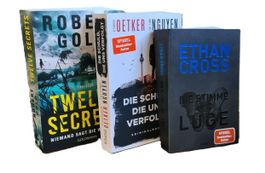 3x spannende Krimis / Thriller vom 2023  / Top Zustand