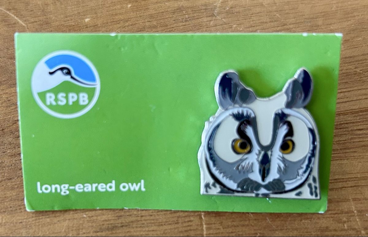 Plaketten & Abzeichen: RSPB Pin Waldohreule – Neu (gemäss Beschreibung) aus Zürich von ann_9fv5