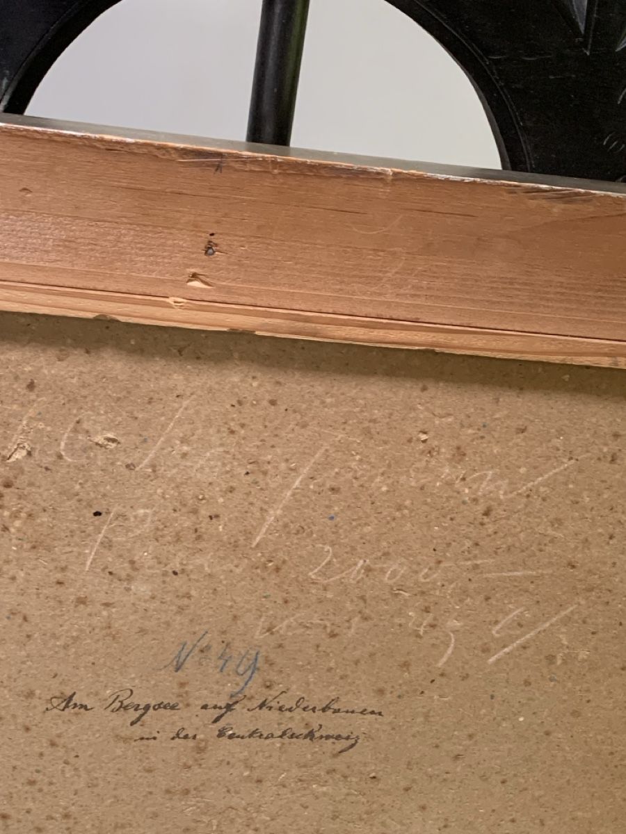 Dipinti: Schweizer Schule um 1880-1900 – Usato da Wolfhalden venduto da SecondAntique 3