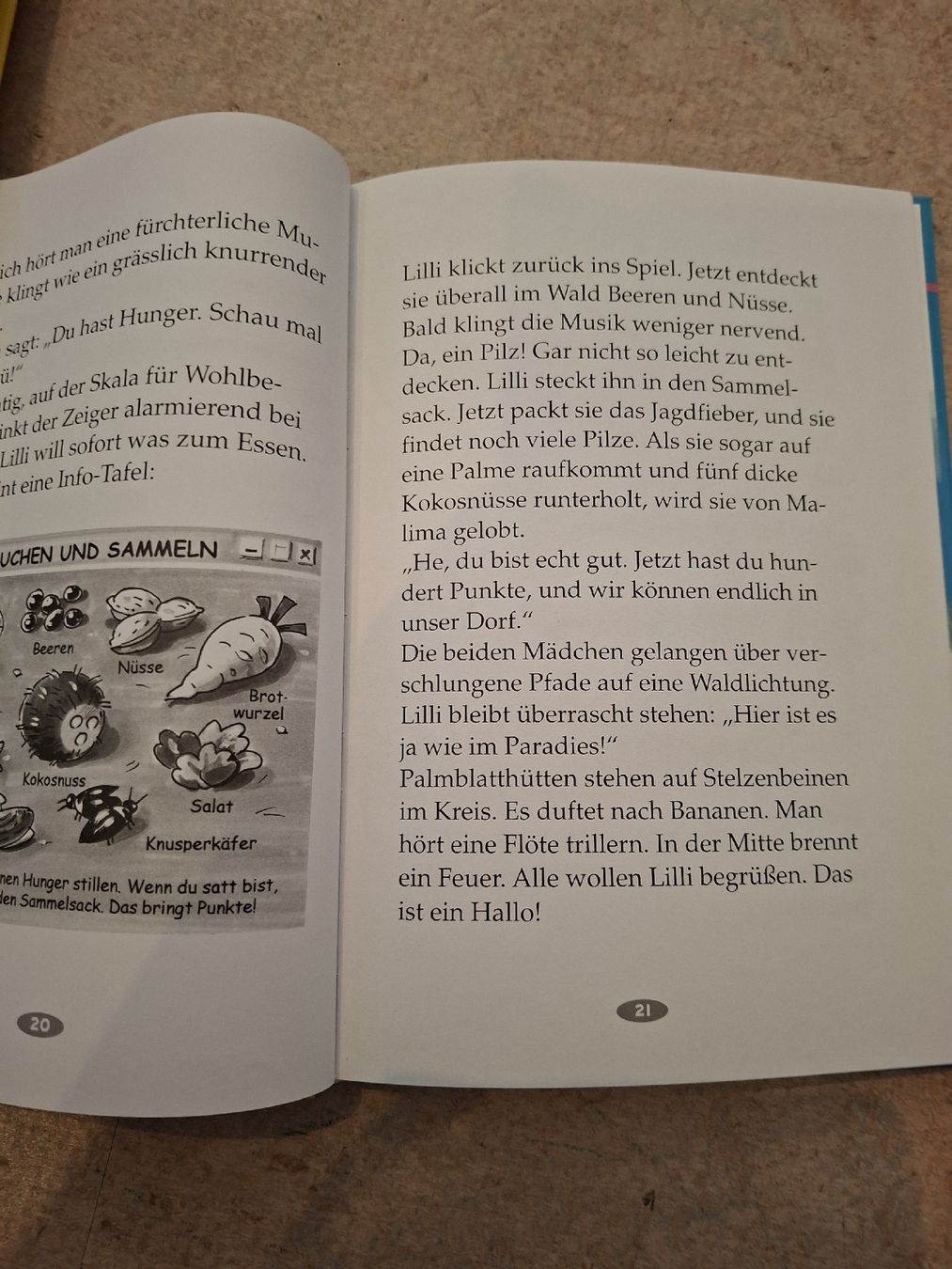 Bücher: Kinderbuch "Lilli im Computerfieber" von Ingrid Kellner – Gebraucht aus Klingnau von vollmond36 4