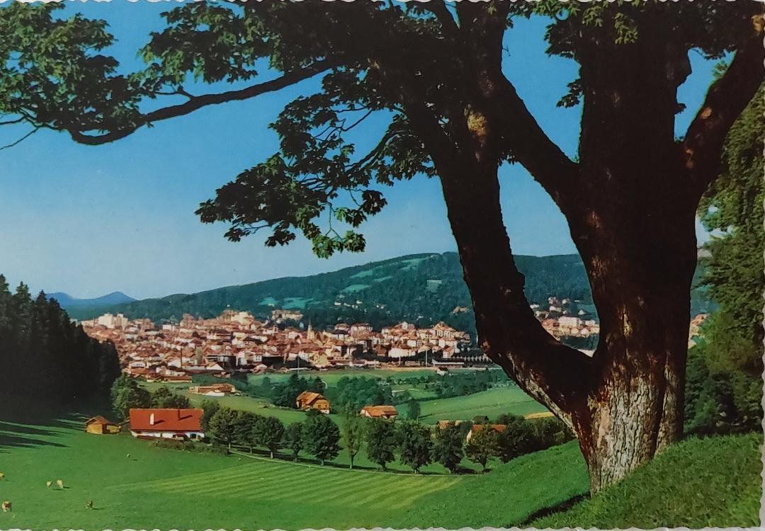 Ansichtskarten: LA CHAUX-DE-FONDS - Vue générale – Gebraucht aus Delémont von Domdom1