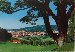 LA CHAUX-DE-FONDS - Vue générale