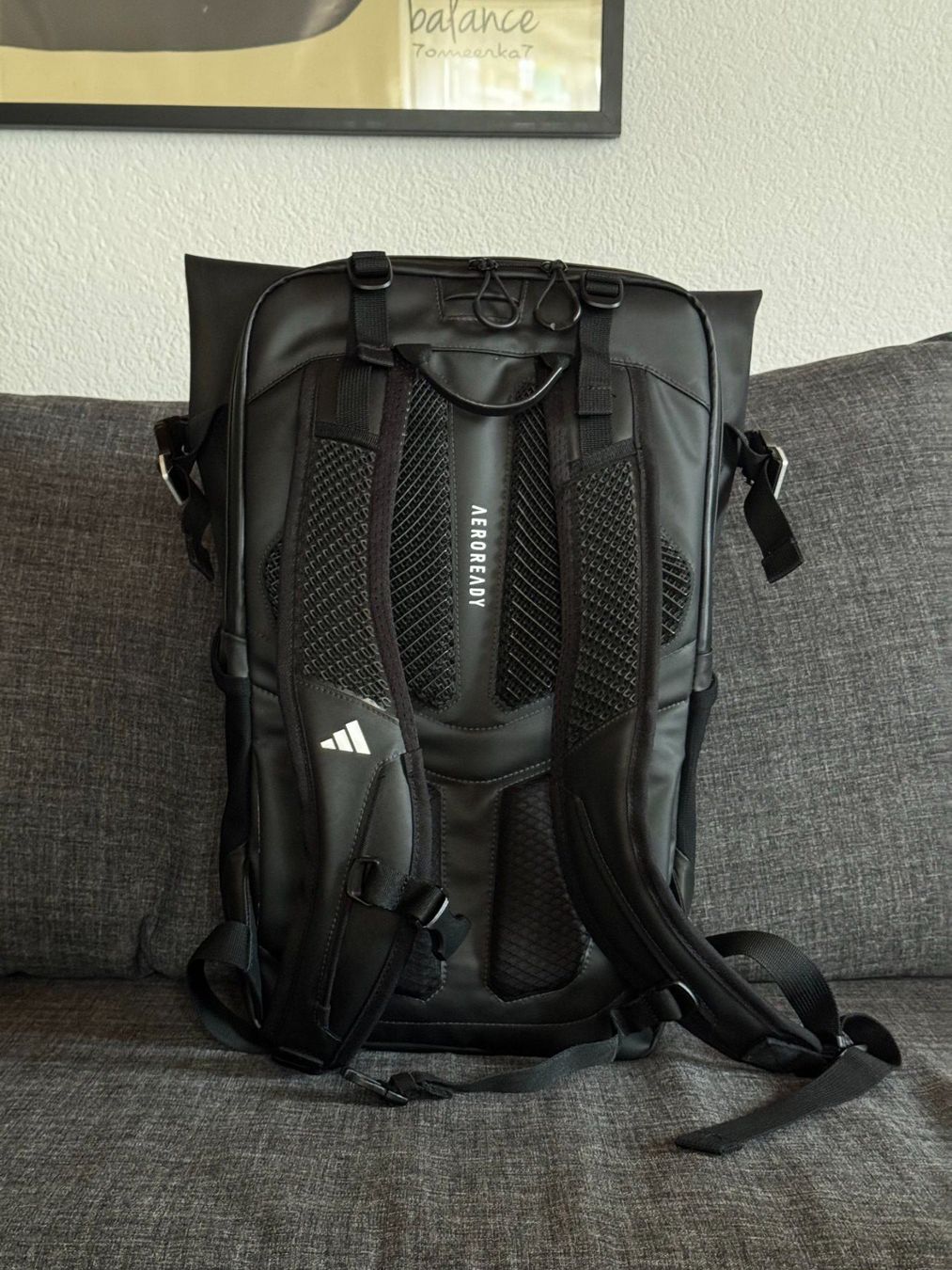 Adidas Zaini: adidas Adaptive 4D Rucksack – Usato da Bern venduto da dimchy 2