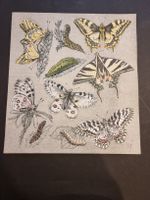 ALEX DIGGELMANN LITHOGRAPHIE SIGNIERT