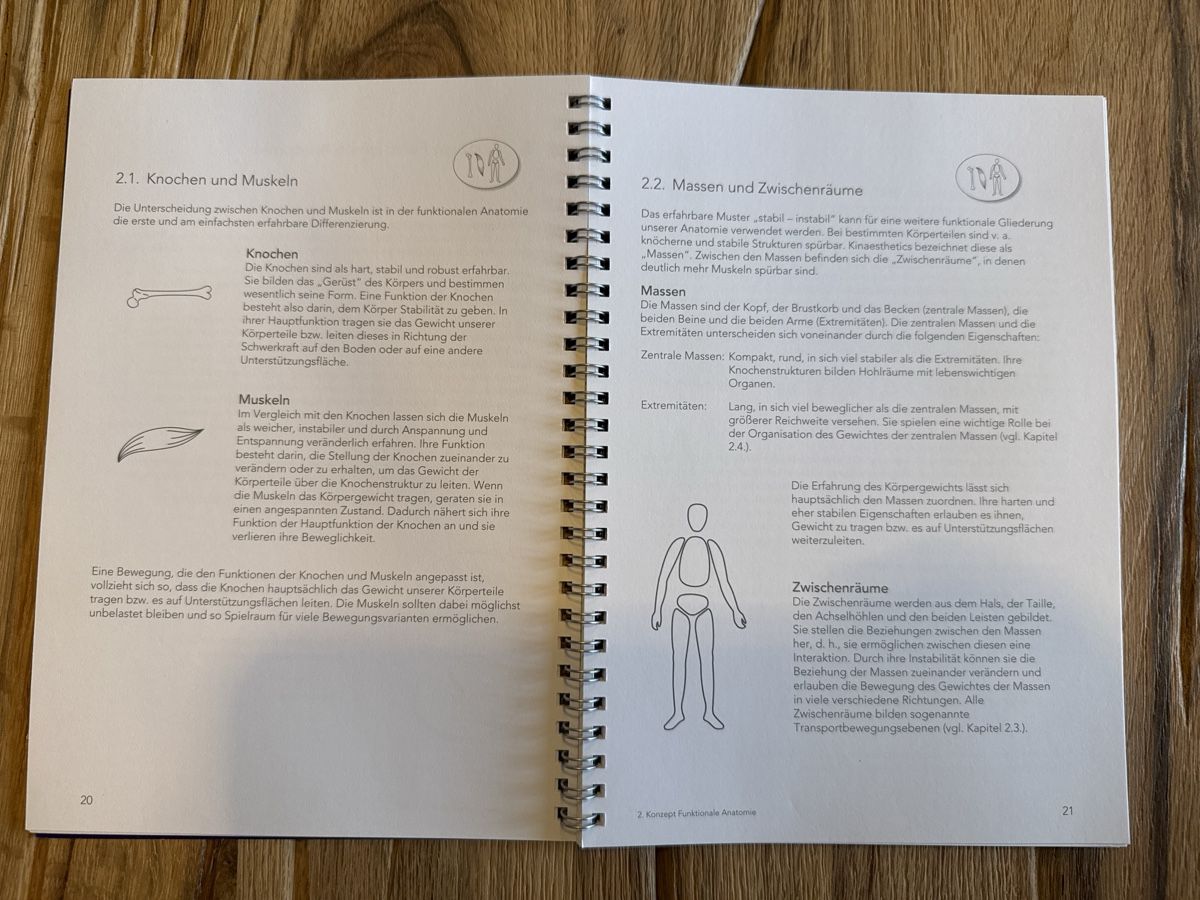 Livres: Kinaesthetics Konzeptsystem – D'occasion à Pfäffikon ZH par Fruchtsaft 2