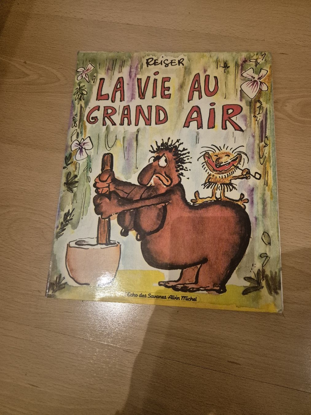 Fumetti: BD la vie au grand air – Usato da Villeneuve VD venduto da Floriang2 1