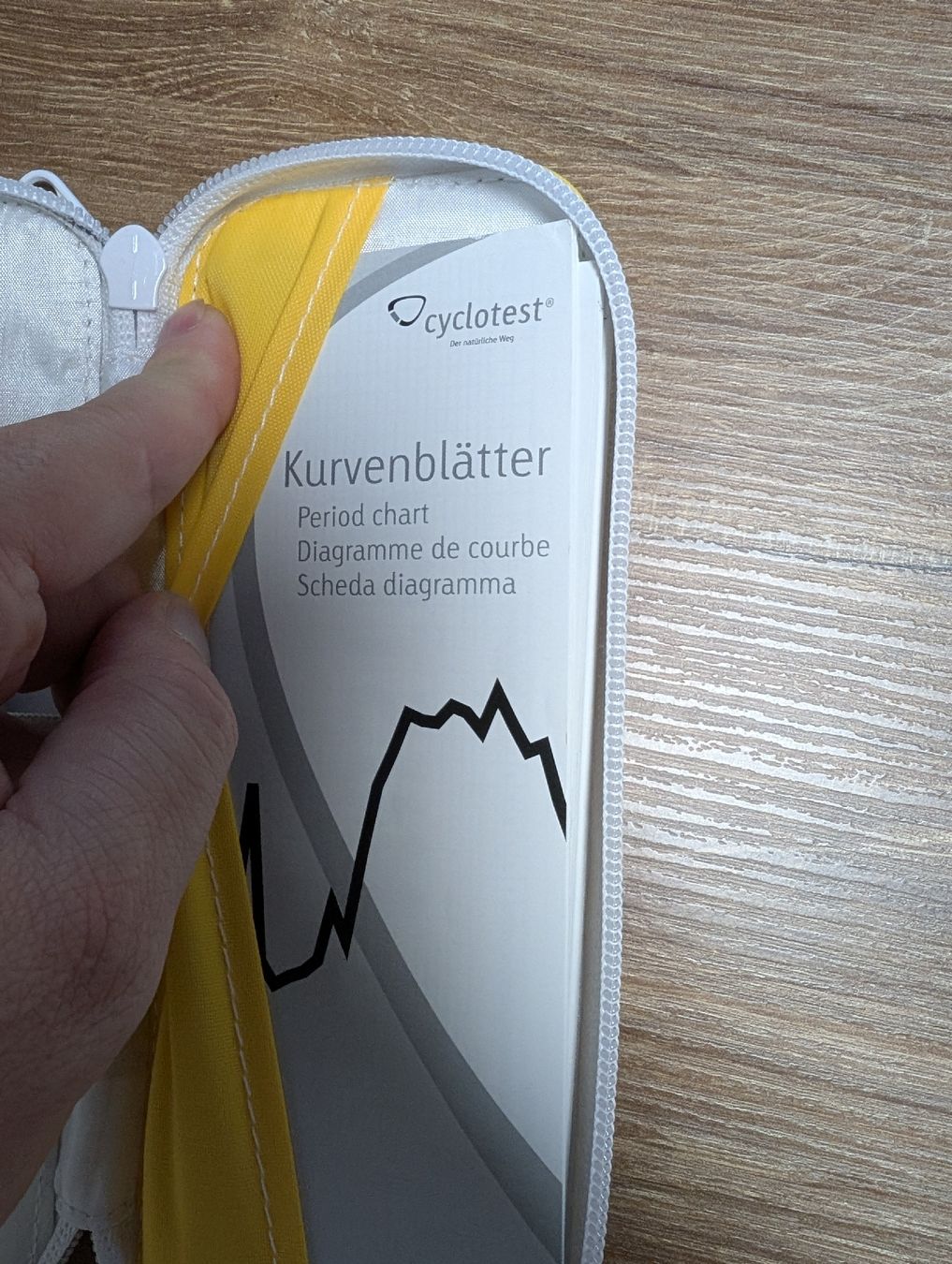 Sonstiges für Haushalt & Wohnen: Basalthermometer – Gebraucht aus Ebikon von Niederdorf01 1