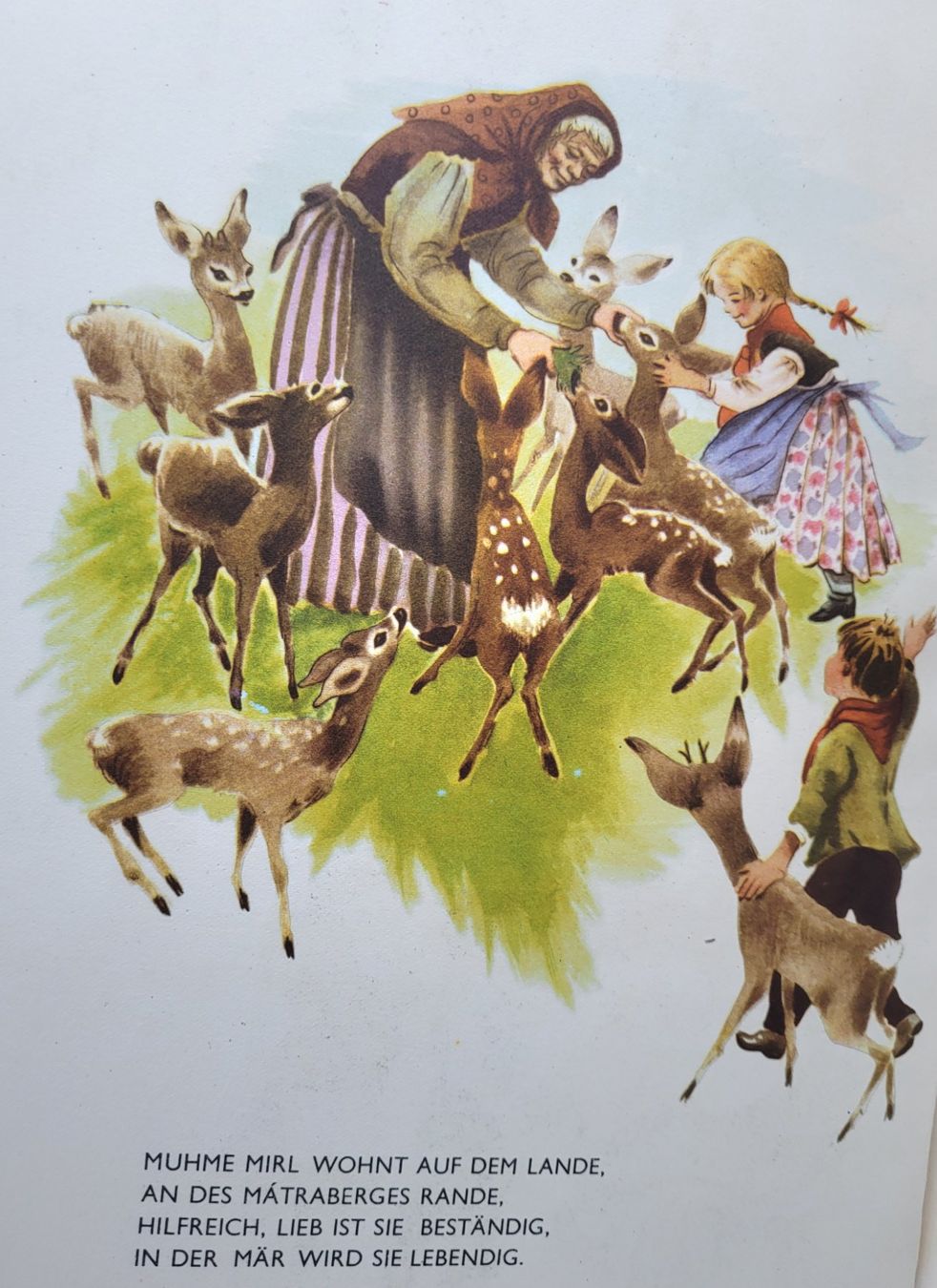 Libri: Historisches Kinderbuch – Usato da Oberuzwil venduto da rtr_wp6m 3