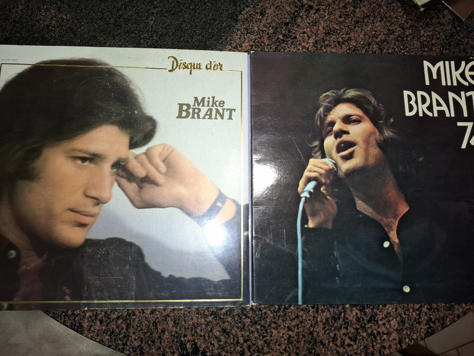 Dischi in vinile: Mike Brant: 2 vinyles – Usato da Chernex venduto da delfafine