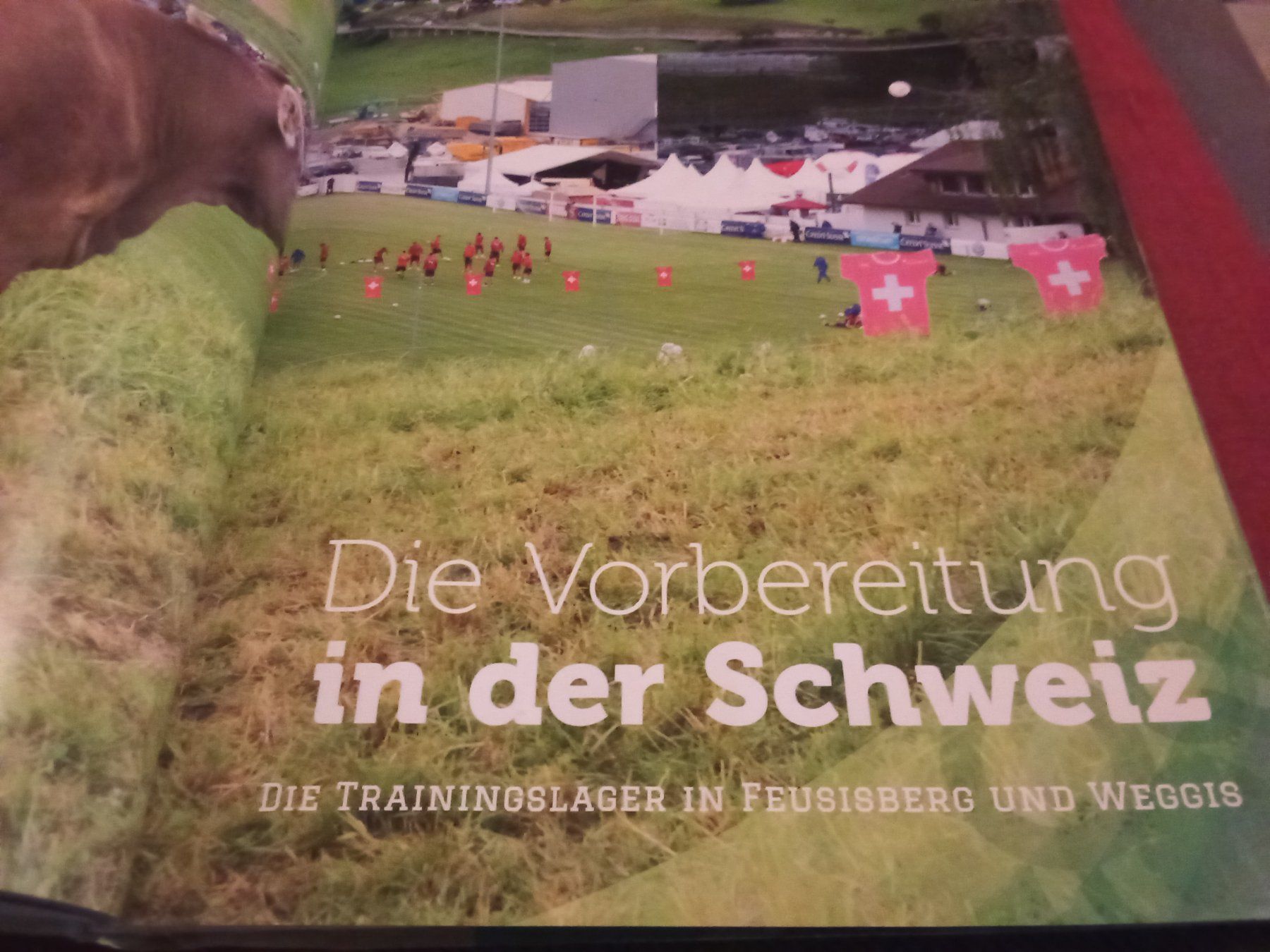 Libri: Das grosse Schweizer Buch der WM 2014 – Usato da Remetschwil venduto da Privatflohmi 6