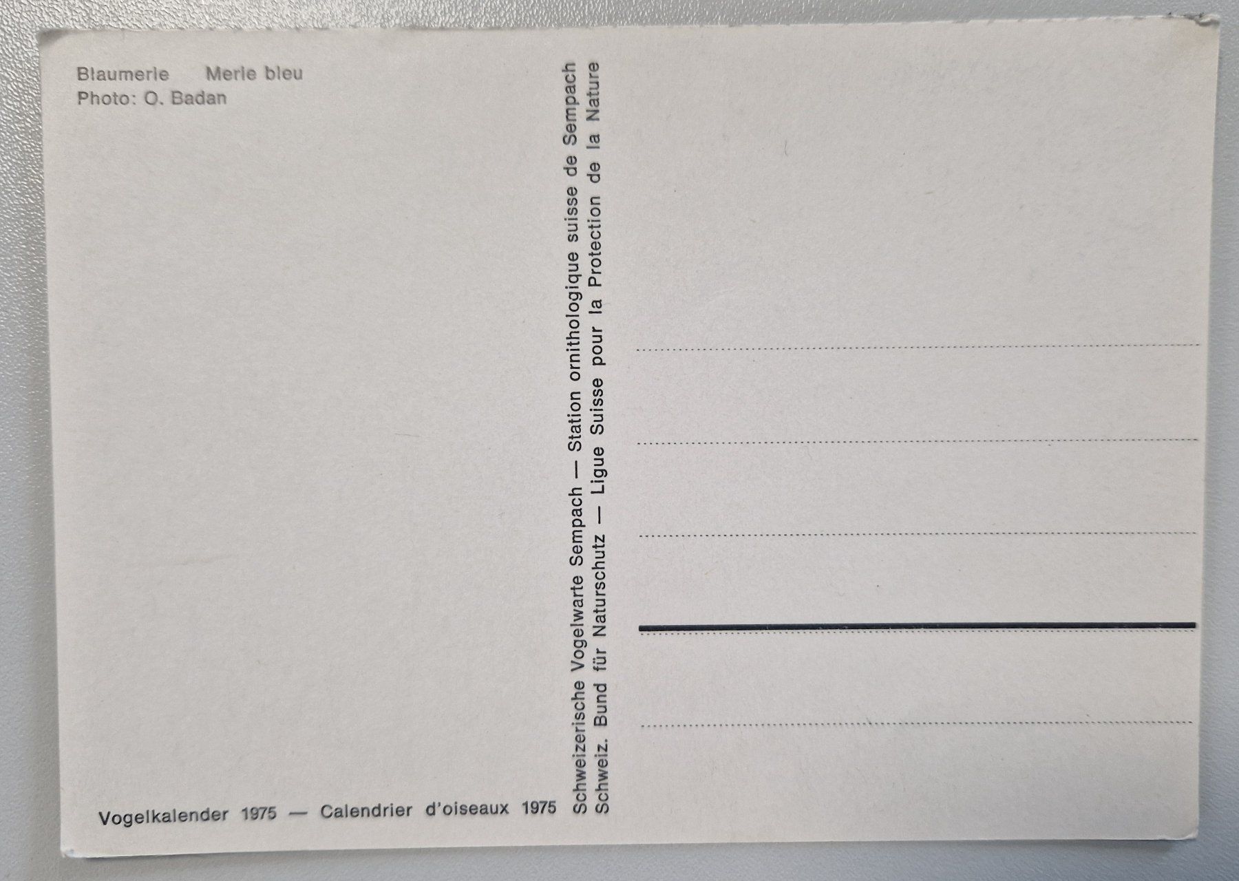 Cartoline postali: Blaumerle / Vogel 1975 – Nuovo (secondo la descrizione) da Melchnau venduto da Arthurius 1