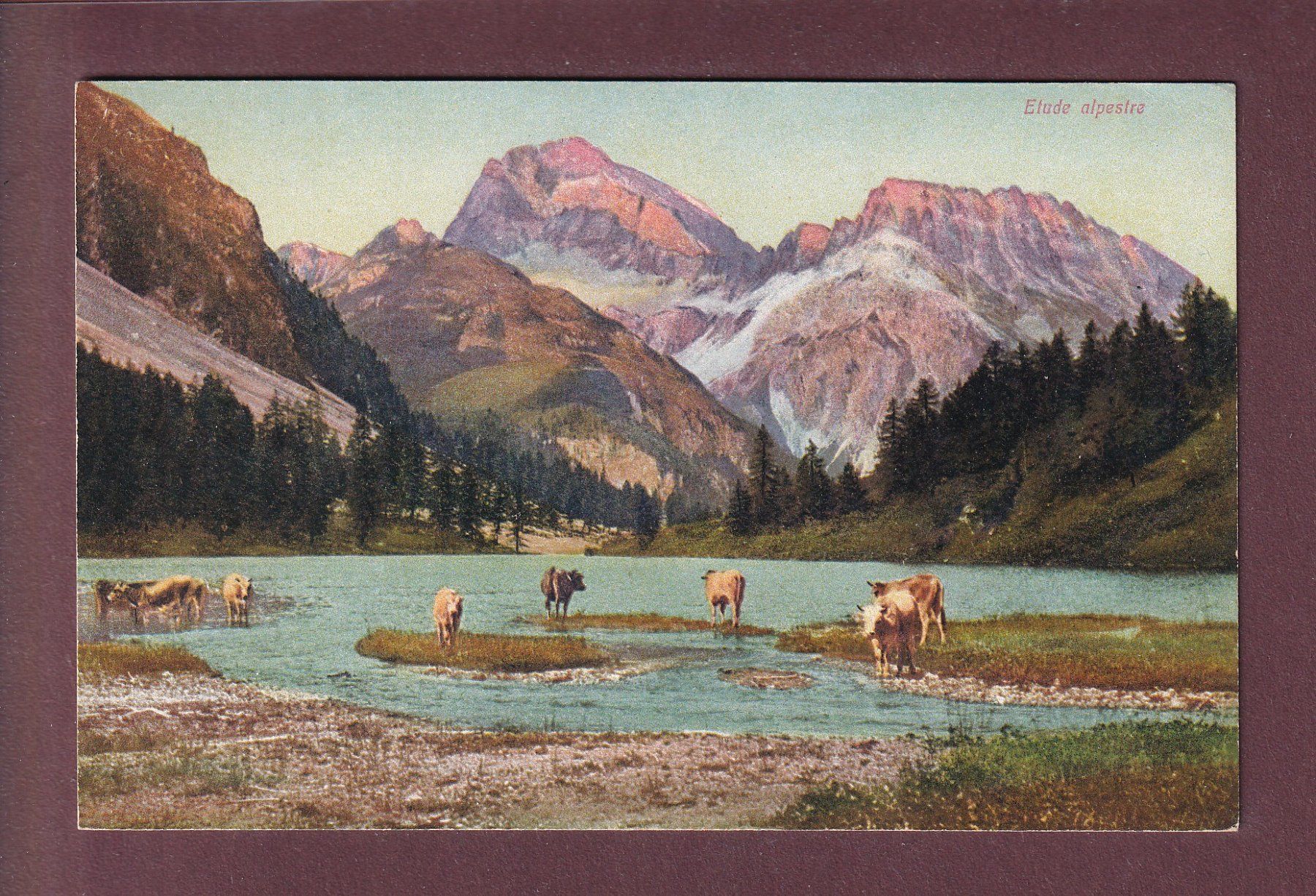 Cartoline postali: ETUDE ALPESTRE aux Grisons – Usato da Pully venduto da nicecards