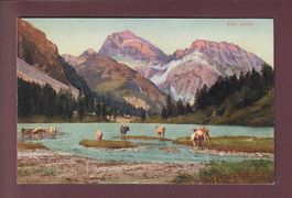 ETUDE ALPESTRE aux Grisons