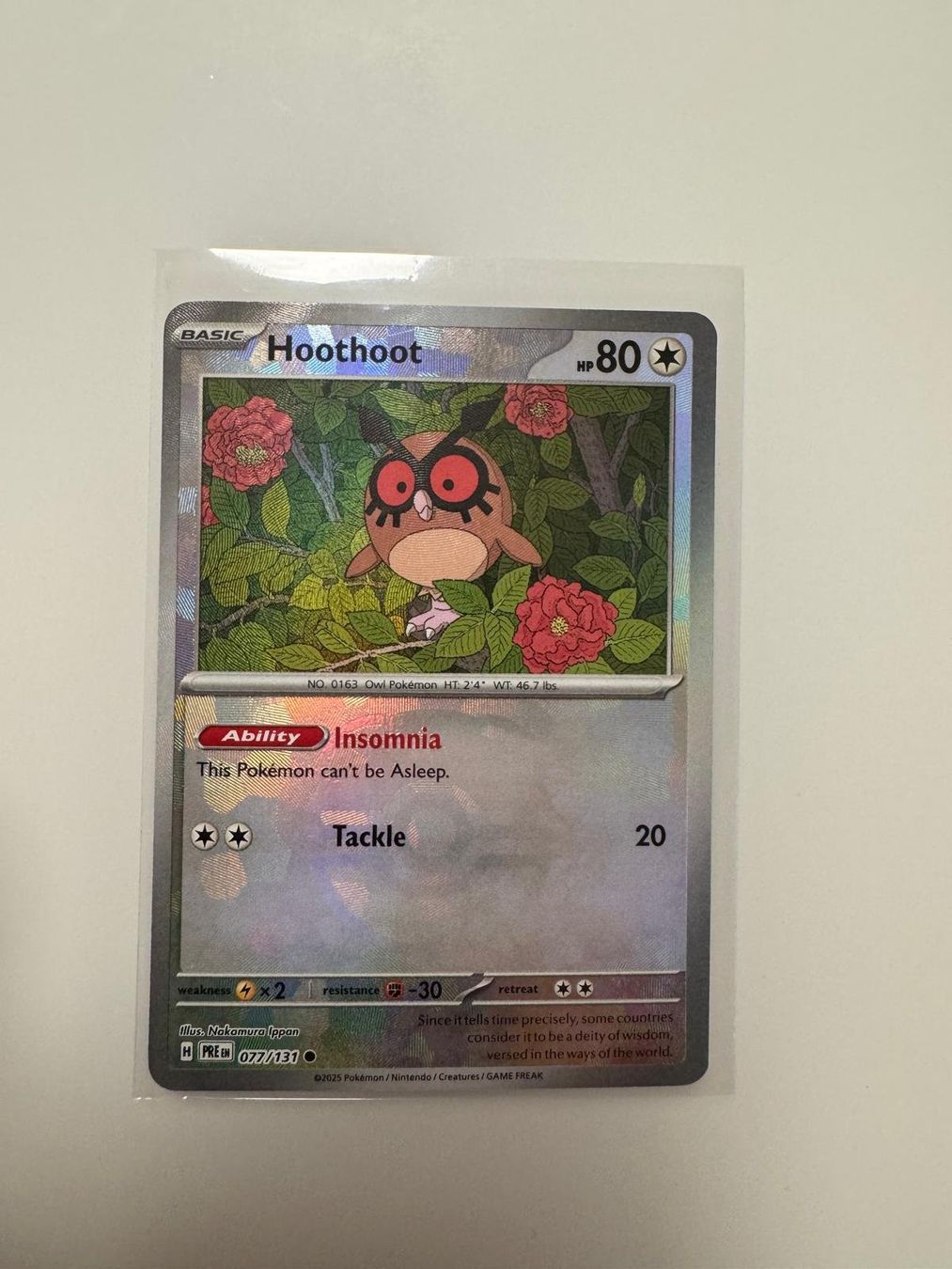 Pokémon Carte collezionabili: Hoothoot | Reverse Holo Masterball | PRE 077/131 | EN – Usato da Spreitenbach venduto da Snacky96 2