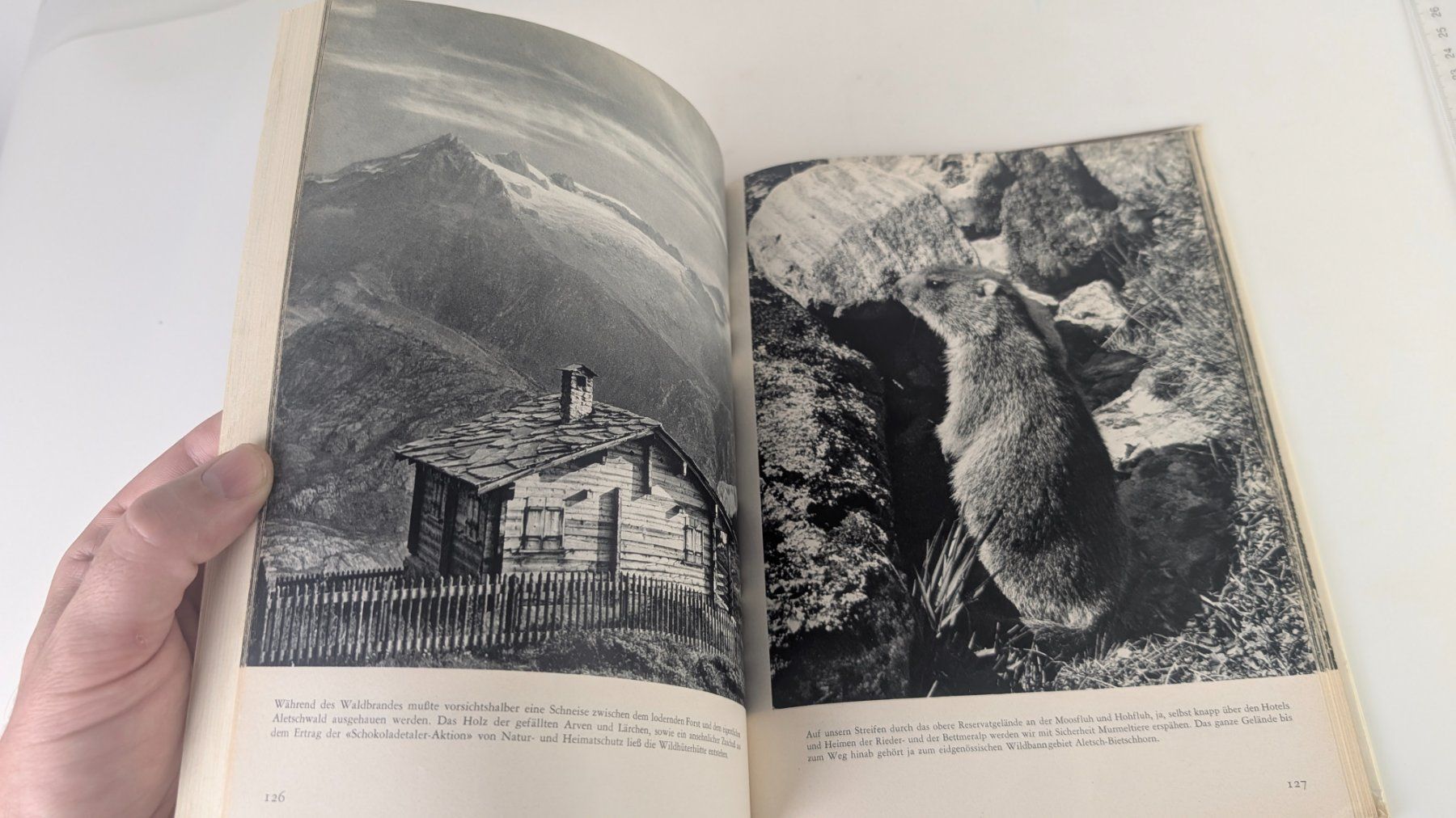 Libri: Schweizer Heimatbücher: Schweizer Naturschutz 1960 – Usato da Zürich venduto da axolottchen 5