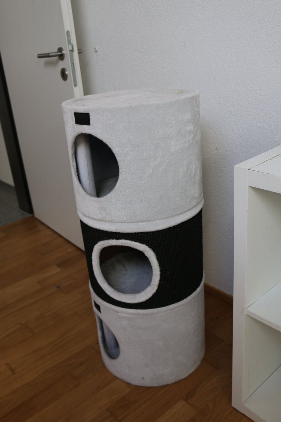 Tiragraffi: Katzenbaum – Usato da Langnau b. Reiden venduto da cb-marcos 1