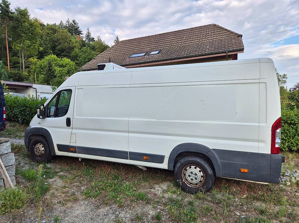 Fiat Veicoli commerciali: FIAT Ducato – Usato da Schönenwerd venduto da Nussgipfel65