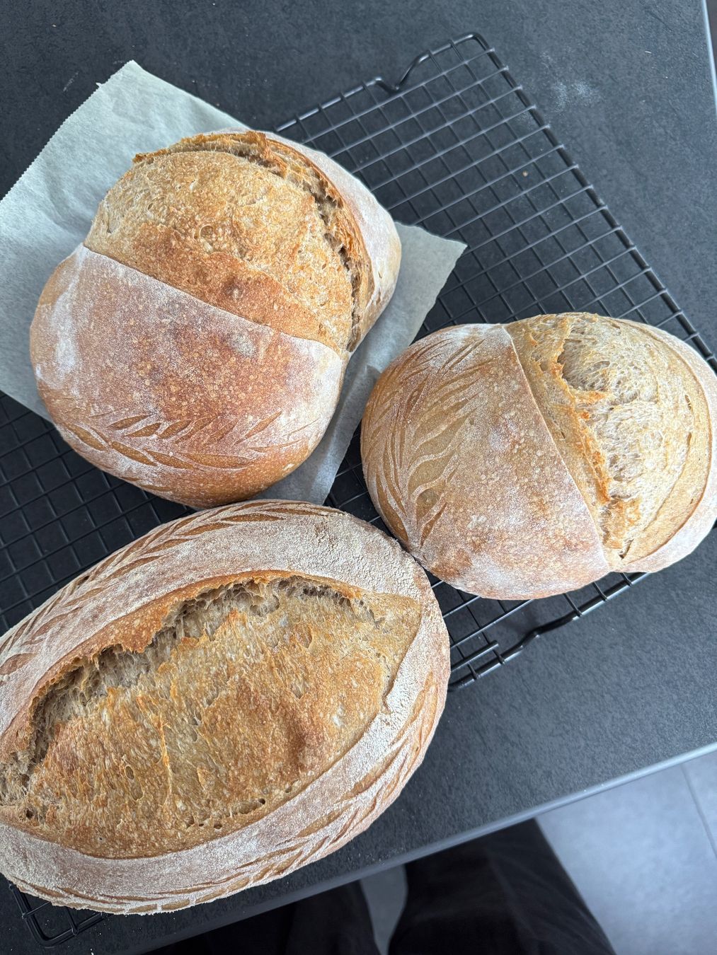Lebensmittel & Spezialitäten: Ausgeprägter Sauerteig Starter 🍞 – Gebraucht aus Herisau von fust10 3