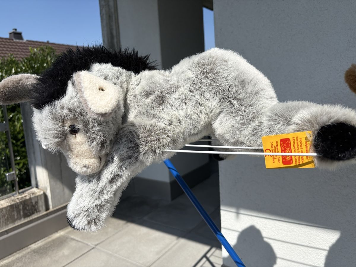 Steiff Spielzeuge: STEIFF Esel Molly NEU – Neu (gemäss Beschreibung) aus Egg b. Zürich von eve_h8pg 9