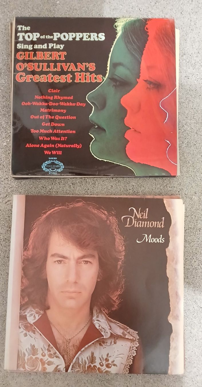 Dischi in vinile: 22 Schallplatten – Usato da Bünzen venduto da Corina-w 4