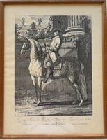 Johann Elias Ridinger (1698-1767), Kupferstich, Cavalier