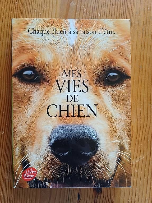 Livres: Divers livres sur les chiens – D'occasion à Cheyres par ano_qm8b 3