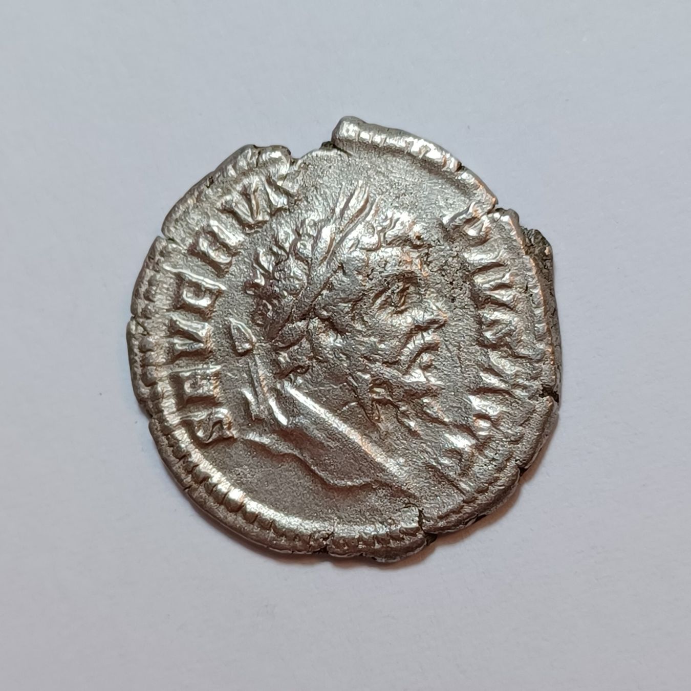 Alle Münzen: Denarius Septimius Severus (193-211) Römisches Reich – Gebraucht aus Pfäffikon ZH von Antike_Muenzen