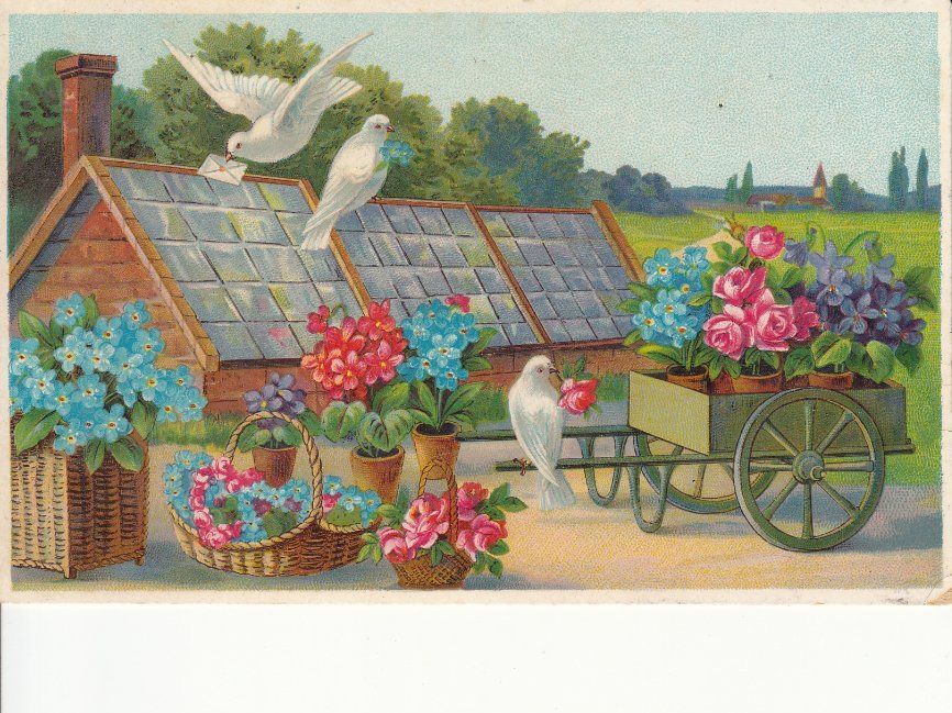 Cartoline postali: Glückwunschkarte 1915 – Usato da Bürglen TG venduto da StampGraf