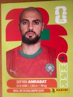 Panini MAR10
