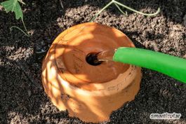 Selbsthergestellte Ollas, Pflanzenbewässerung, Wasserspender